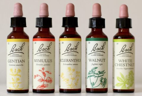 BACH Flower Essences